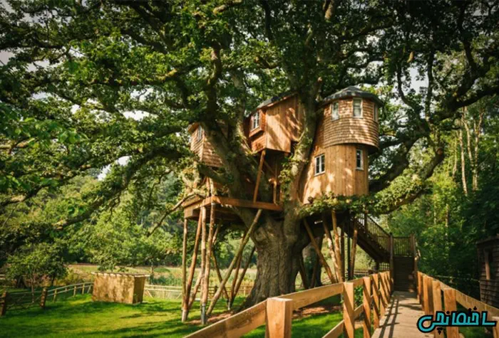 طراحی یک خانه درختی