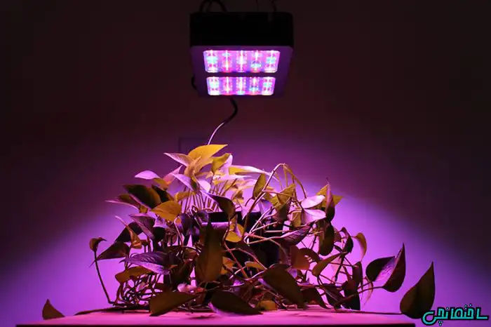 عکس مدت زمان استفاده از لامپ رشد گیاه چقدر است؟
