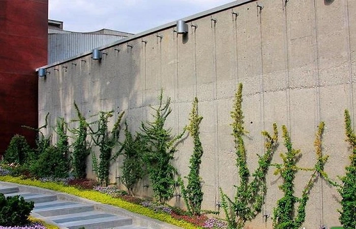 دیوار سبز کابلی