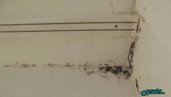 عکس کف سرویس بهداشتی خانه&zwnj;تان نم می&zwnj;دهد؟ این راه&zwnj;حل را همه نمی&zwnj;دانند!